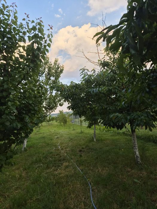 Casă de vânzare Teiuș