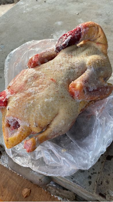 Продам Индоуток чищенные