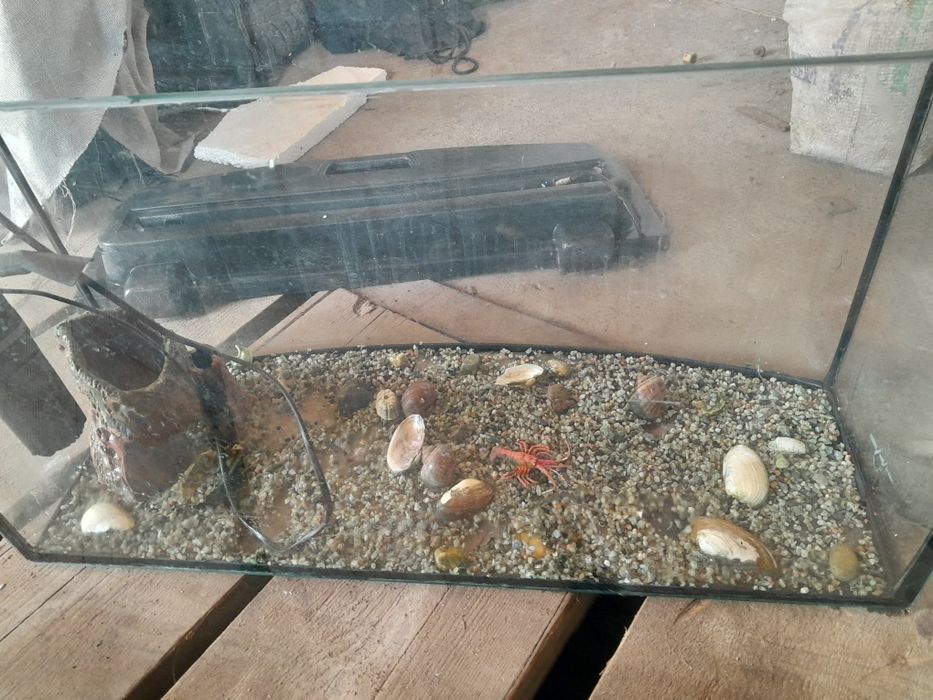 Аквариум для рыбы