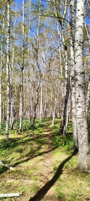 Продажа участка Медеуский район