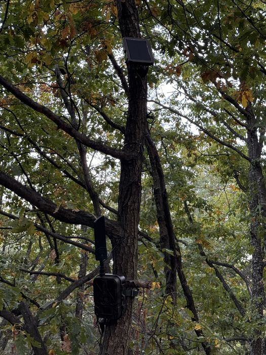 Соларен панел за ловна камера – 6V и 12V