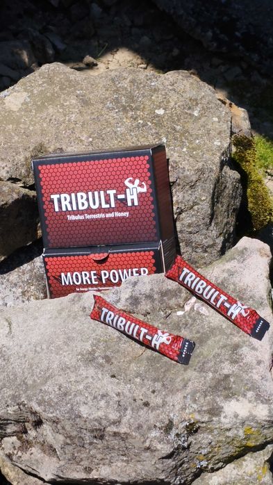 Твоят тестостеронов бустер: TRIBULT-H + подарък Бабини зъби - чай