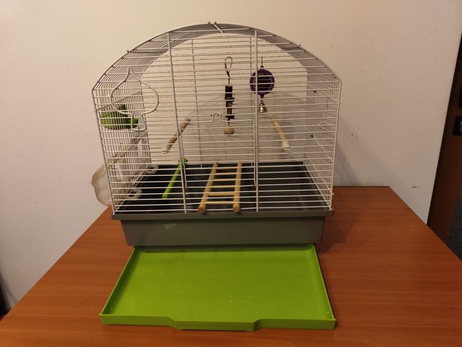 Colivie pasari       .