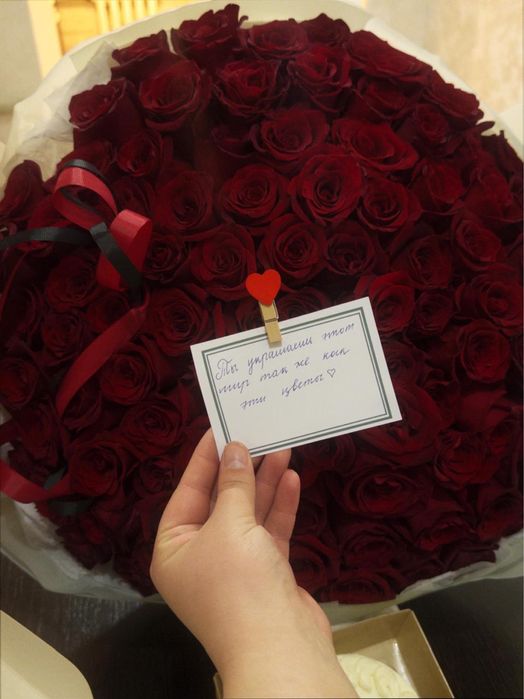 Красный роза 101 штук