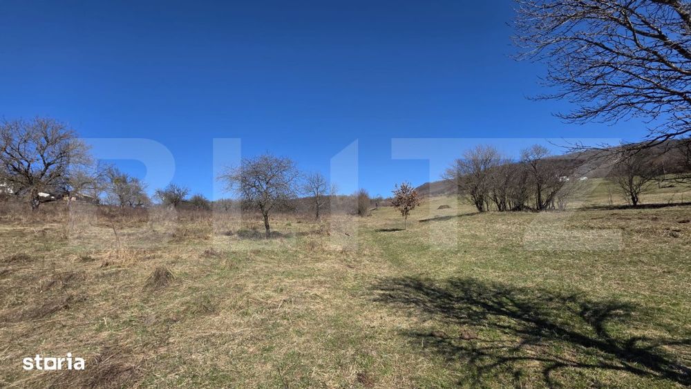 Teren de vanzare de 8,567MP in zona: Tarpiului