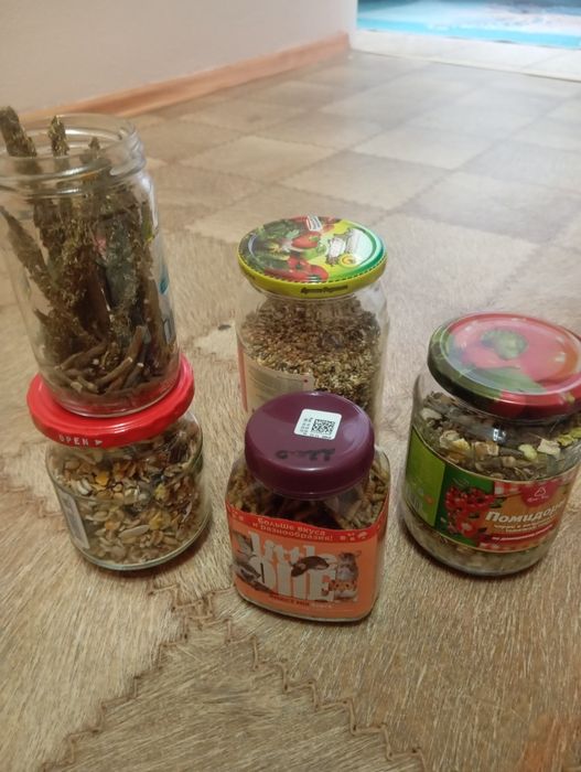 Девочка хомяк 1.5 месяцев