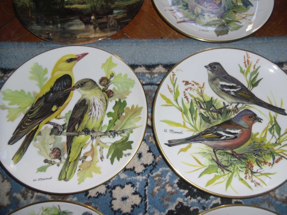 farfurii noi ,cu pasari portelan engl.