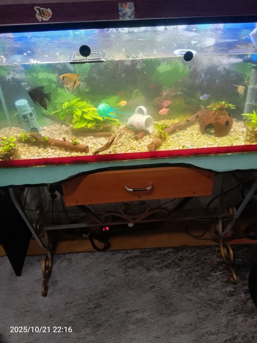 Продам аквариум!!!