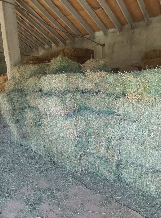 Бали люцерна  на руло и малки