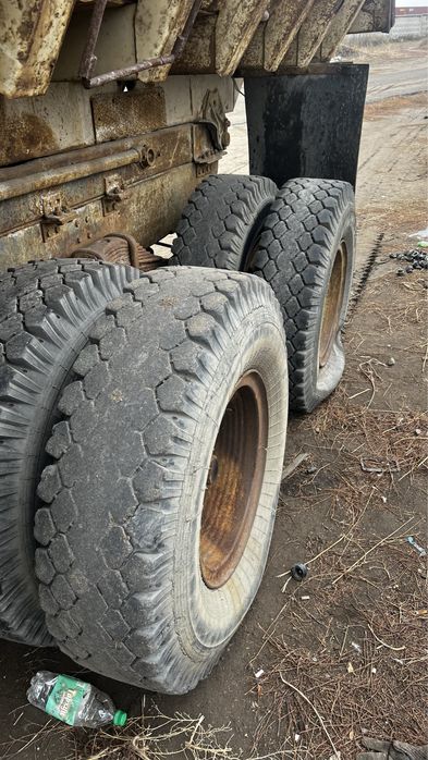 Баллоны 12.00, камеры 12, флиппер