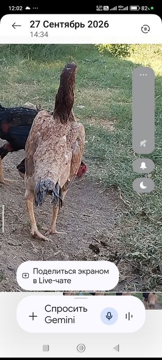 Сатлады срочнааа
