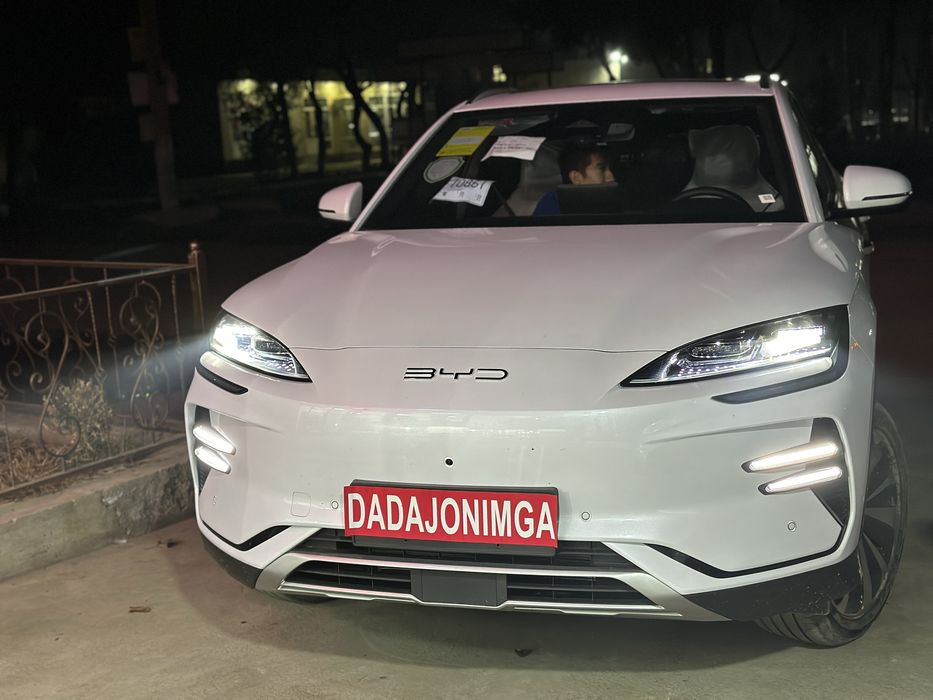 Byd song chempion 605