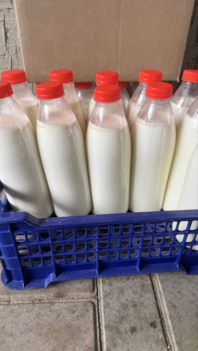 Қолдын айраны - үйдын дәмі!