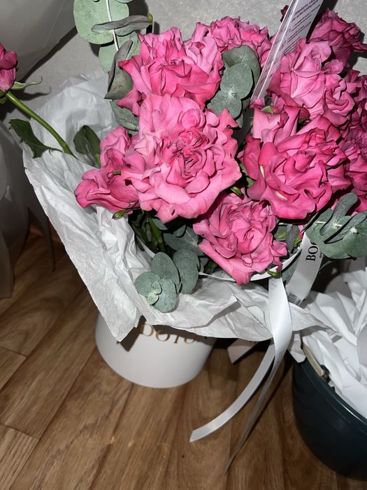 продам очень свежие цветы