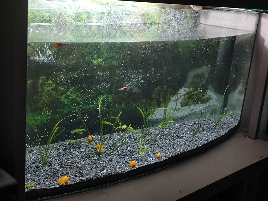 Аквариум 100 литров