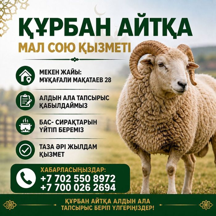 Кои, ешкы соямыз халал турде