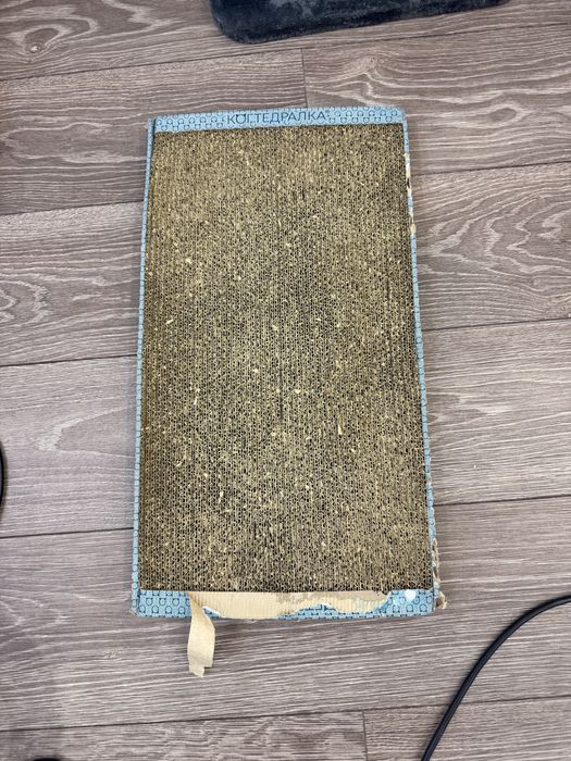 отдам кошку в добрые руки