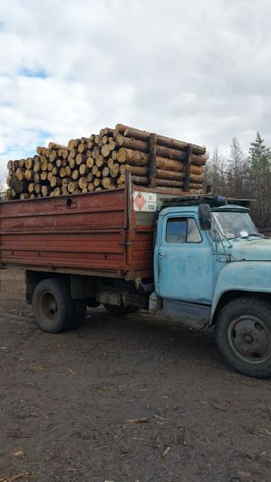 Дрова 2х метровые