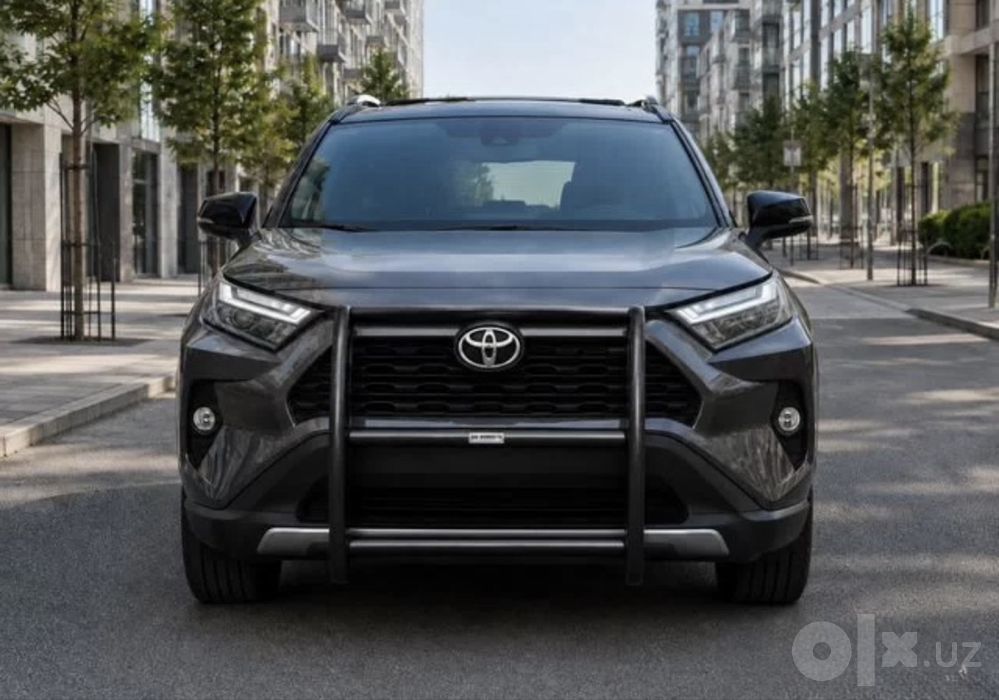 Защита бампера на Toyota Land Cruiser 300 Rav4