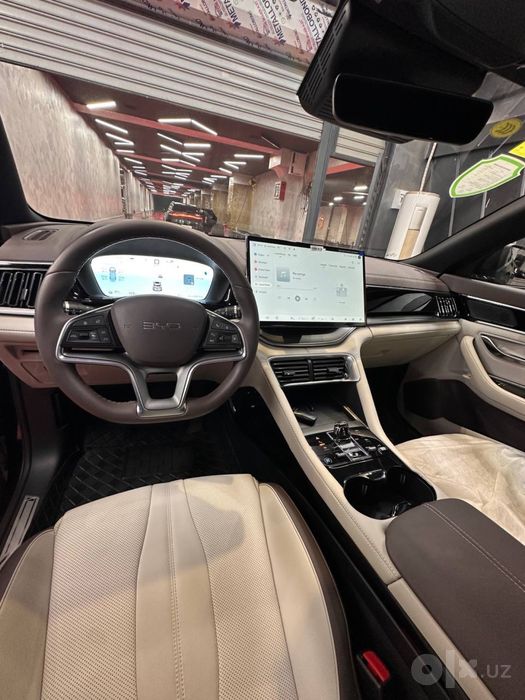 Byd chempion 2024 tozza