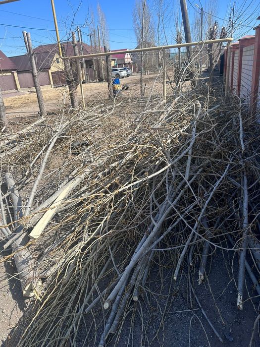 Дерево для шашлыка