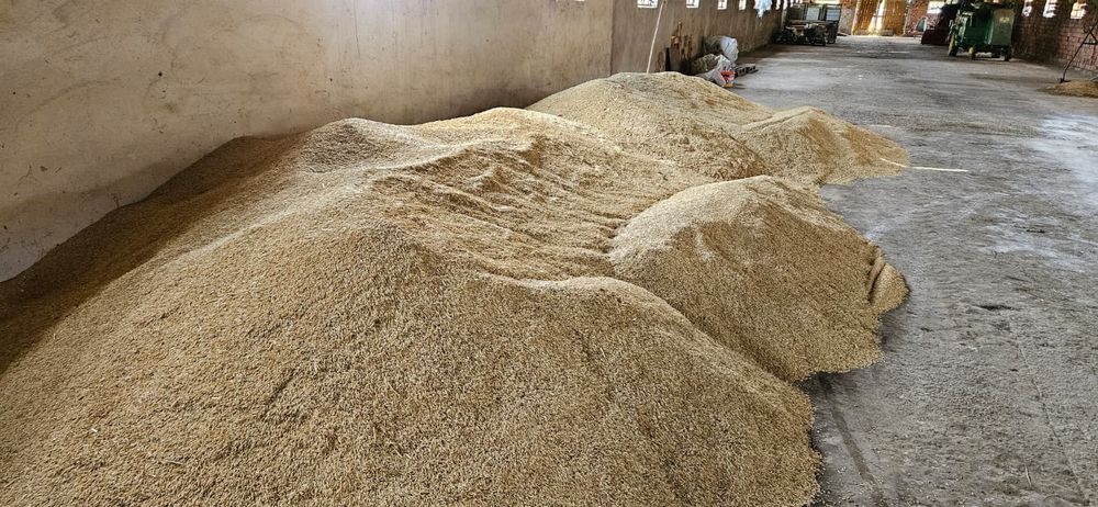 Baloti lucerna calitatea 1 si ovăz sămânță