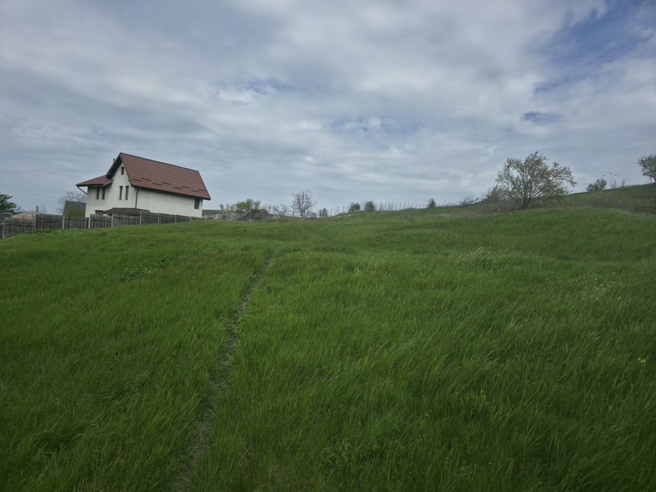 Teren de vânzare Bogonos Iași