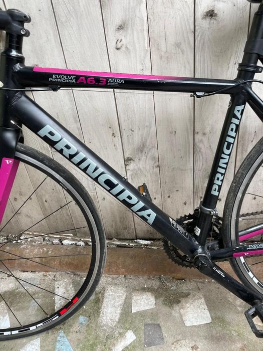 Cursiera Principia Evolve Factura+Garantie -A-