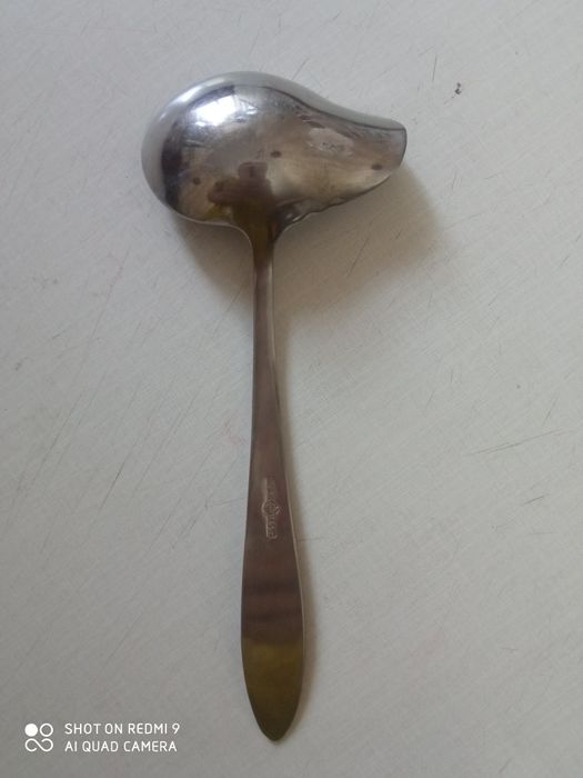 Nerjaveyka qoshiq