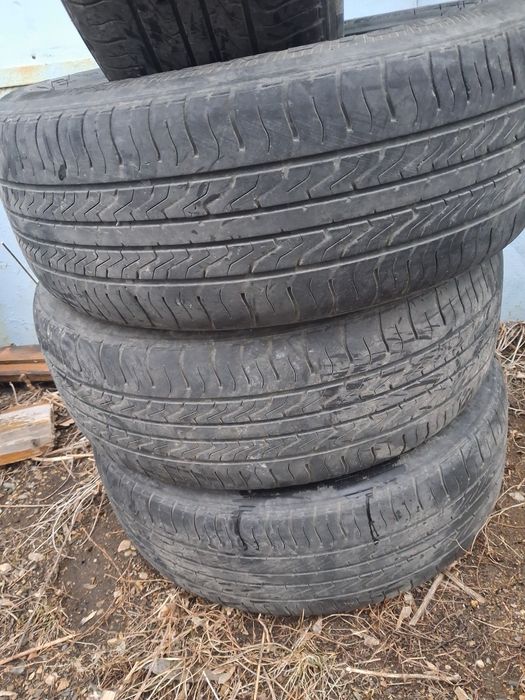 Пролам шины не дорого