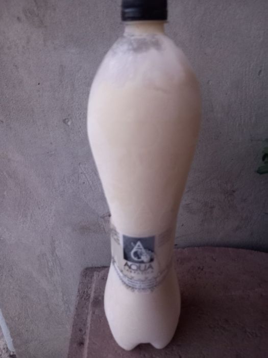 Vând apilarnil sută la sută natural