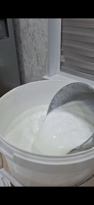 Шұбат, түйенің бүгінгі сүті, балқаймақ