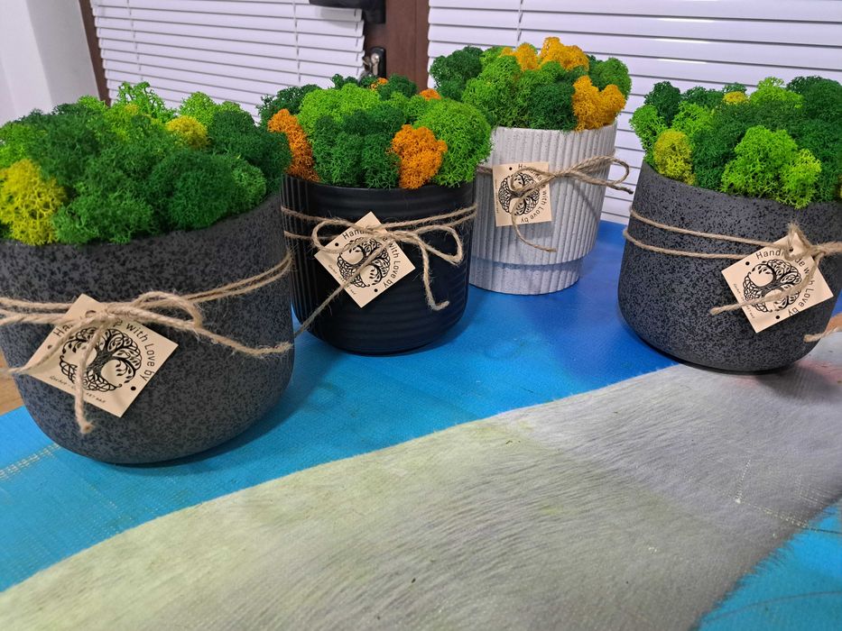 Кашпа със Скандинавски мъх