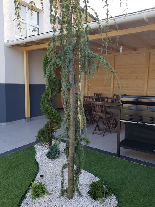 Vila Mar-Mari's și Vila YLY Eforie Nord