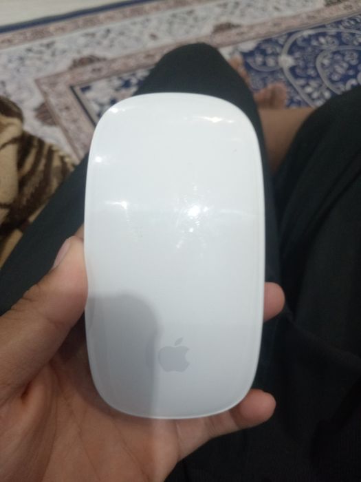 Apple Magic Mouse 1-го поколени