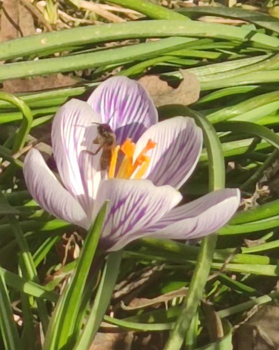 Дава се под наем Магазин в София, Горна баня - 104 кв.м за 765 € - Снимка #3