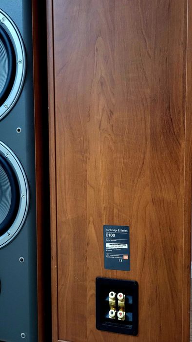 Boxe 250 W standfloor arta de la JBL E100