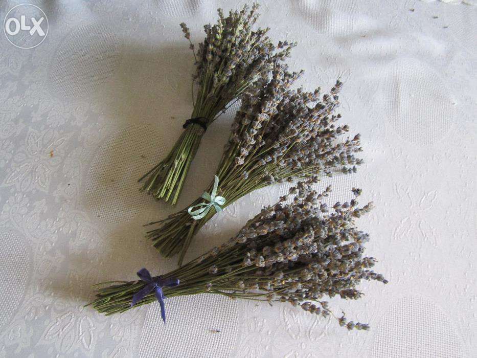 Pulover in doua culori negru/mov + bonus