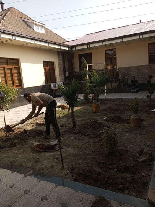 Gazon ekish landshaft dizayni