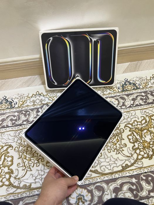 Ipad pro M4 13inch