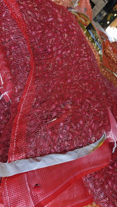 Vand usturoi de pus în pământ și arbagic rosu și galben