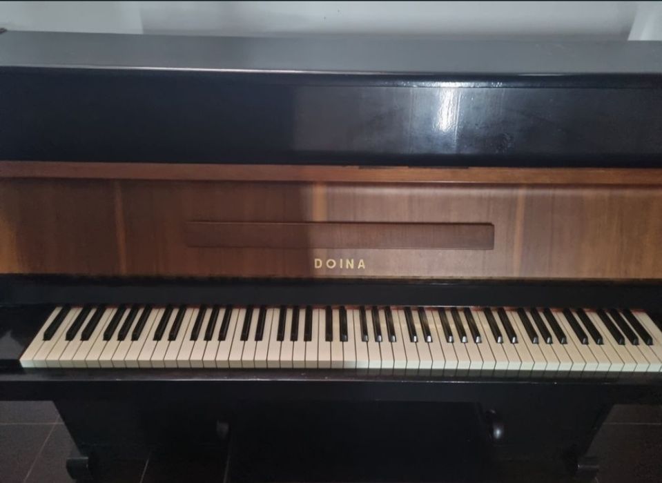 Pianină Doina placă de bronz