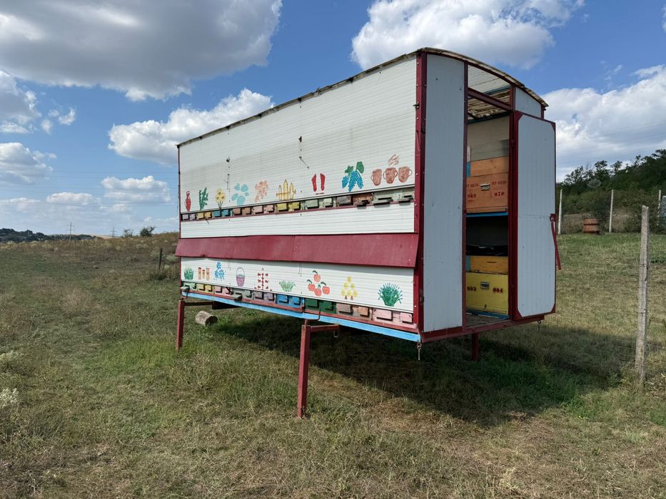 pavilion apicol 36 de lazi, 12 rame