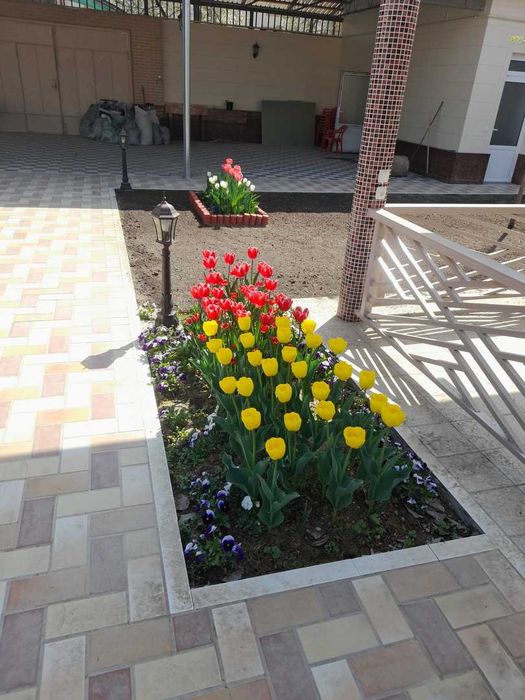 Автоматический полив газона , программирование программаторов полива.