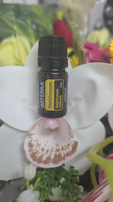 Helichrysum doTERRA