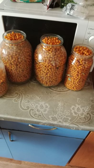 Продаётся  облепиха