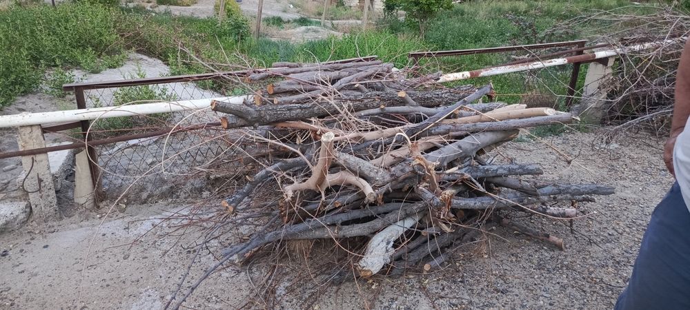 O'tin sotiladi hammasi 600.000