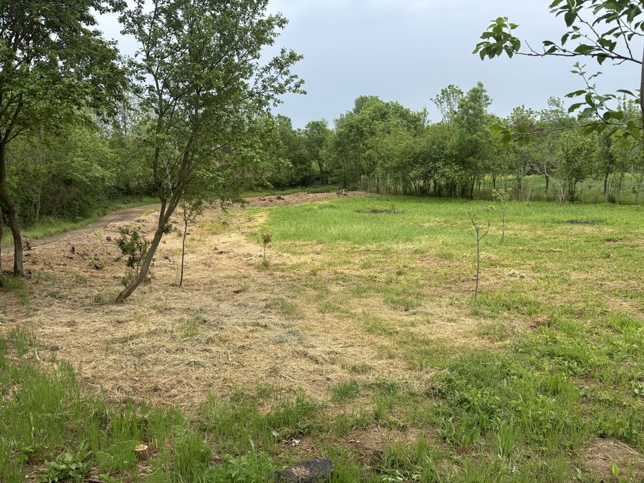 Vand teren In Recas sat Petrovaselo 1050 mp 19999 euro!!