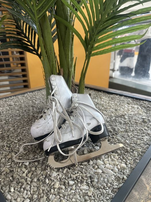 коньки профиссиональный