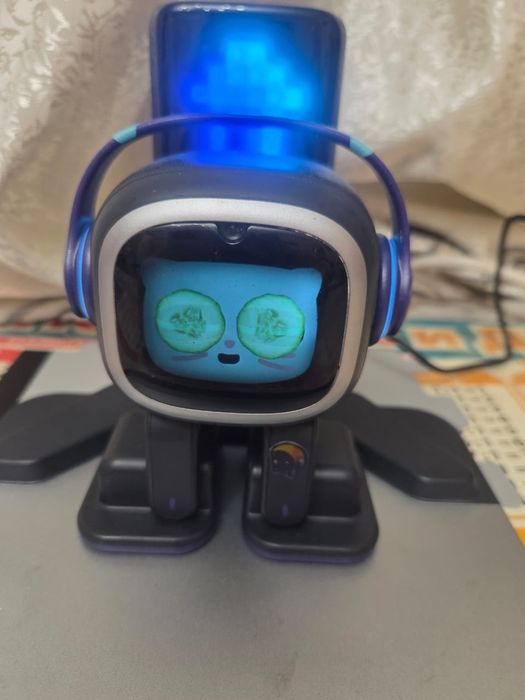 ИИ, Робот EMO Gо Hоме.